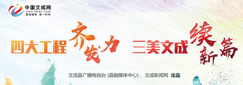 文成新闻网