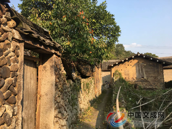 渡渎村人口_兰溪渡渎村图片