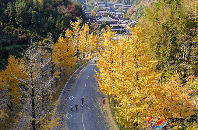 ����������ס� ����������