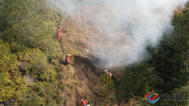 ��̹��չɭ�ַ����Ӧ����Ԯ�ۺ����� ���ζ�������ȫ����