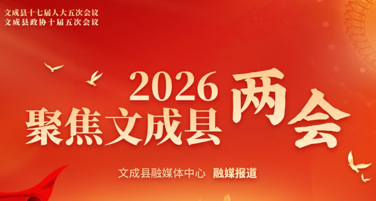 ��ר�⡿�۽�2026�ĳ�����