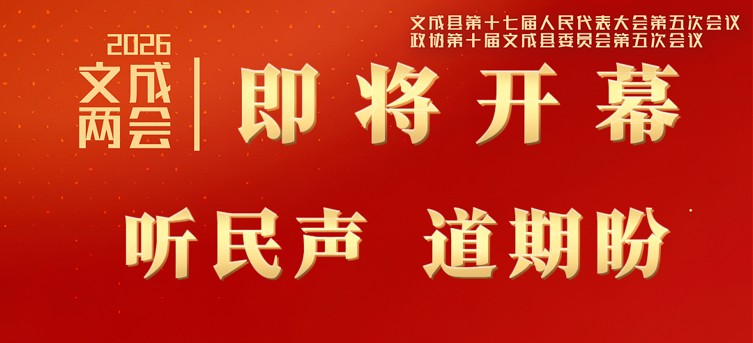 ���ả�ɣ������� ������