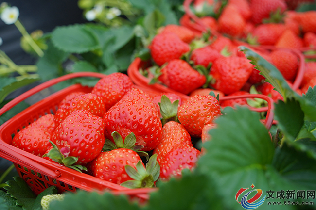 ��干�����£����ȡ����۾��á� �������ա�ݮ����ʱ��