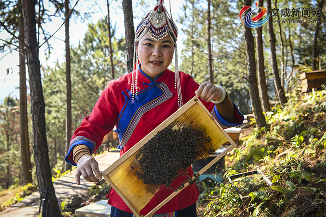 ����Խ���ؼҵ� ���۲�ҵ��ɽ��