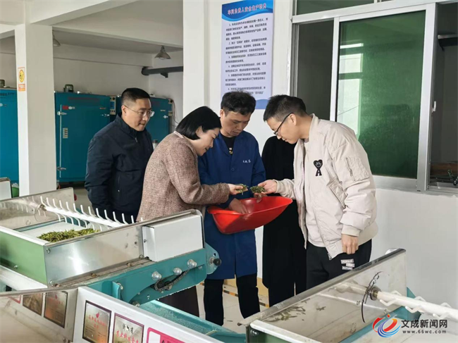 �Ƽ�����Ա��׼�����ĳɲ��ҵ ��������ƮԶ