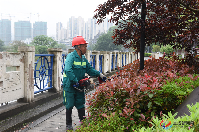 ��ִ���ֿ�չ������ֲ�޼�������������